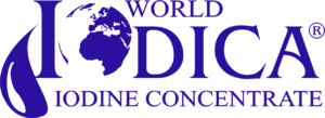 IODICA logo niebieski
